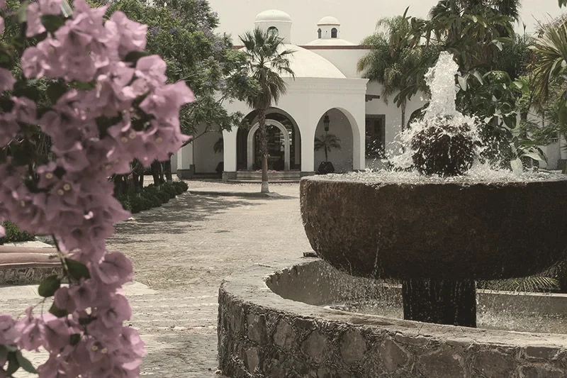 Fuente de piedra y fachada blanca entre flores
